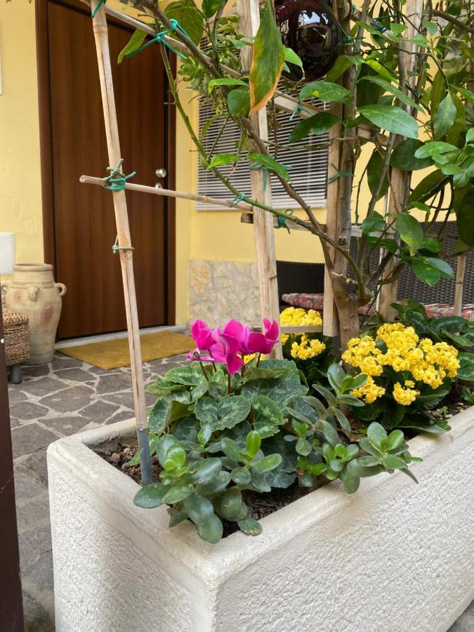 Bed & Breakfast Luma Caserta